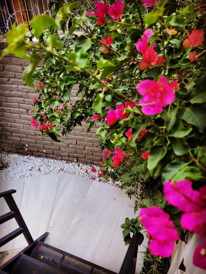 "Casa Amalia Apartamentos" Plaza Italia Y Av Aristides A 50Mts, Lugar Con Jardin Mendoza Exteriör bild