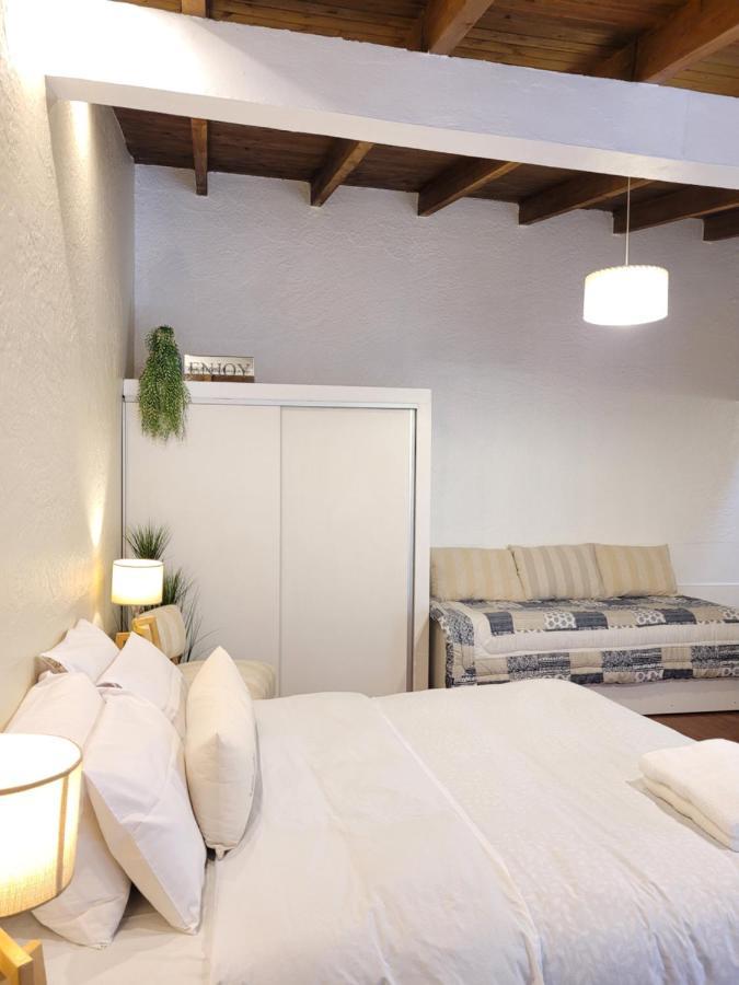 "Casa Amalia Apartamentos" Plaza Italia Y Av Aristides A 50Mts, Lugar Con Jardin Mendoza Exteriör bild